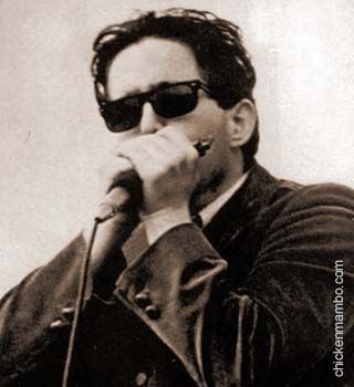 paul_butterfield.jpg